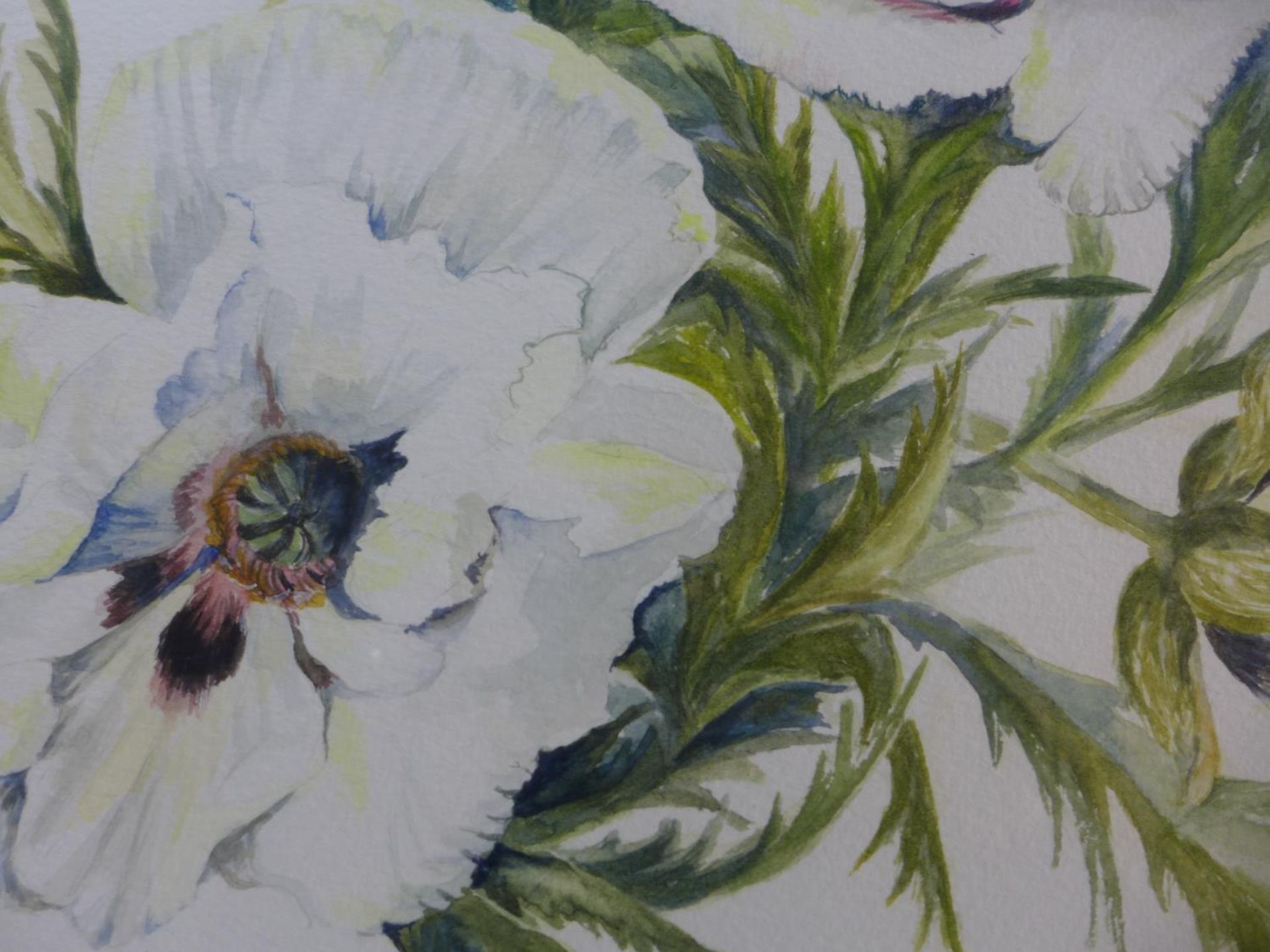 LIZ PELLING (BRITISH 20TH CENTURY) 'WHITE ORIENTAL POPPY', WATERCOLOUR, SIGNED LOWER RIGHT, LABEL - Image 3 of 5