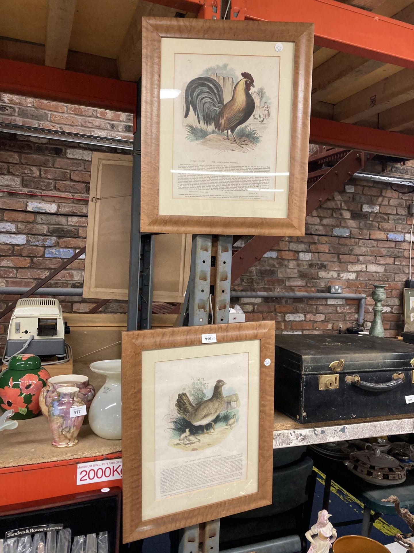 TWO FRAMED PRINTS OF BIRDS, 'THE COMMON HEN' AND 'THE COCK'