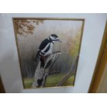 NIGEL ARTINGSTALL (BRITISH BORN 1963) 'GREAT SPOTTED WOODPECKER', WATERCOLOUR, SIGNED LOWER RIGHT,