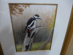 NIGEL ARTINGSTALL (BRITISH BORN 1963) 'GREAT SPOTTED WOODPECKER', WATERCOLOUR, SIGNED LOWER RIGHT,