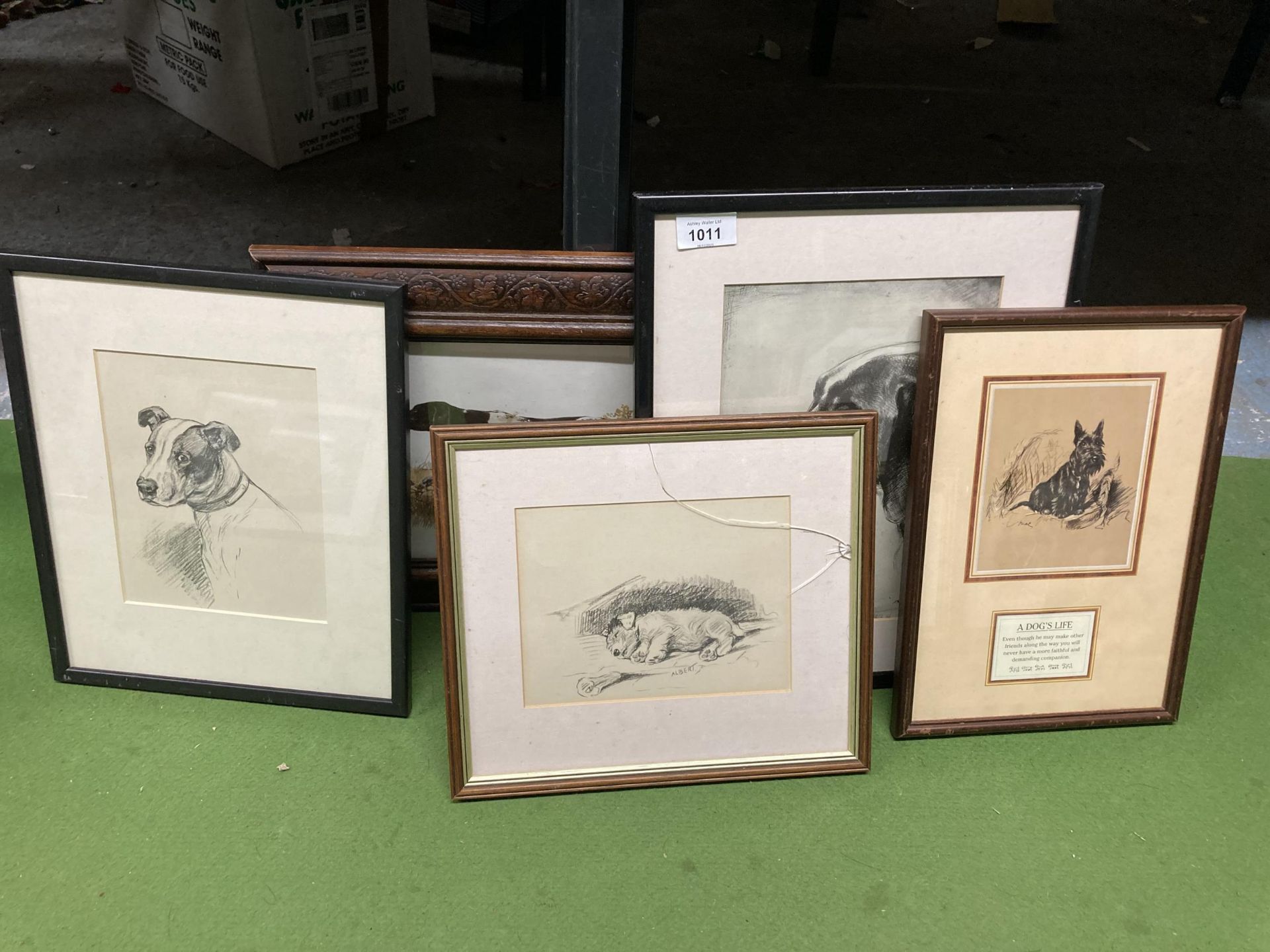 FIVE FRAMED PRINTS OF DOGS TO INCLUDE MAC AND ALBERT