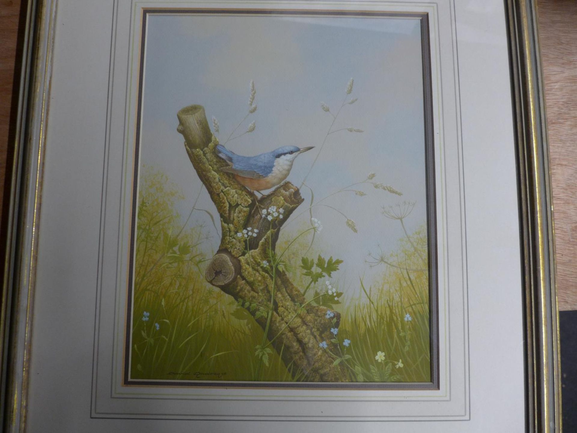 DAVID ANDREWS (BRITISH 20TH/21ST CENTURY) RED BREASTED NUTHATCH, WATERCOLOUR, SIGNED LOWER LEFT,