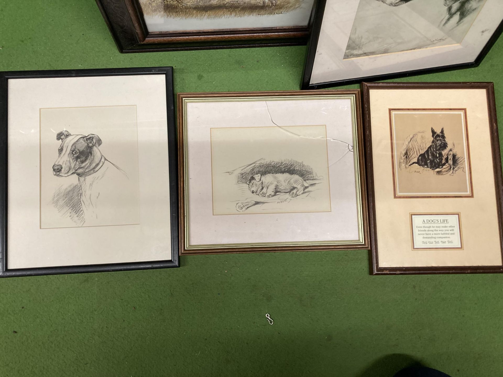 FIVE FRAMED PRINTS OF DOGS TO INCLUDE MAC AND ALBERT - Image 4 of 4