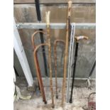 AN ASSORTMENT OF WALKING STICKS TO INCLUDE A SHOOTING STICK ETC