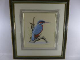 R.H. PETHERICK (BRITISH 20TH CENTURY) KINGFISHER ON A BRANCH, GOUACHE, SIGNED LOWER RIGHT, 27 X