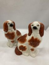 A PAIR OF STAFFORDSHIRE STYLE SPANIEL DOGS, HEIGHT 20CM