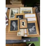 A COLLECTION OF SMALL FRAMED PRINTS, BLACK AND WHITE TIGER AND ZEBRA ETC