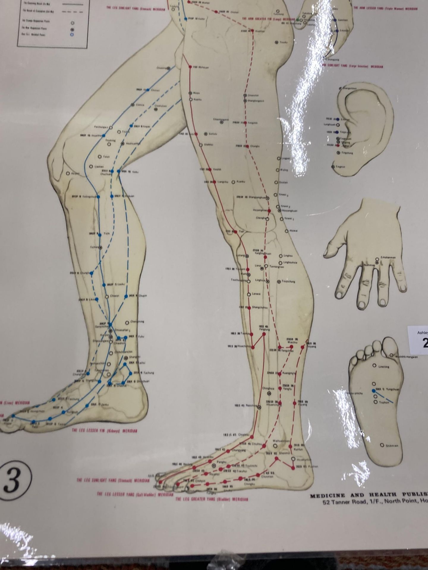 A VINTAGE MEDICAL WALL CHART - Image 3 of 5