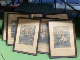 SEVEN VINTAGE FRENCH PRINTS OF LIPIZZANER STYLE HORSES