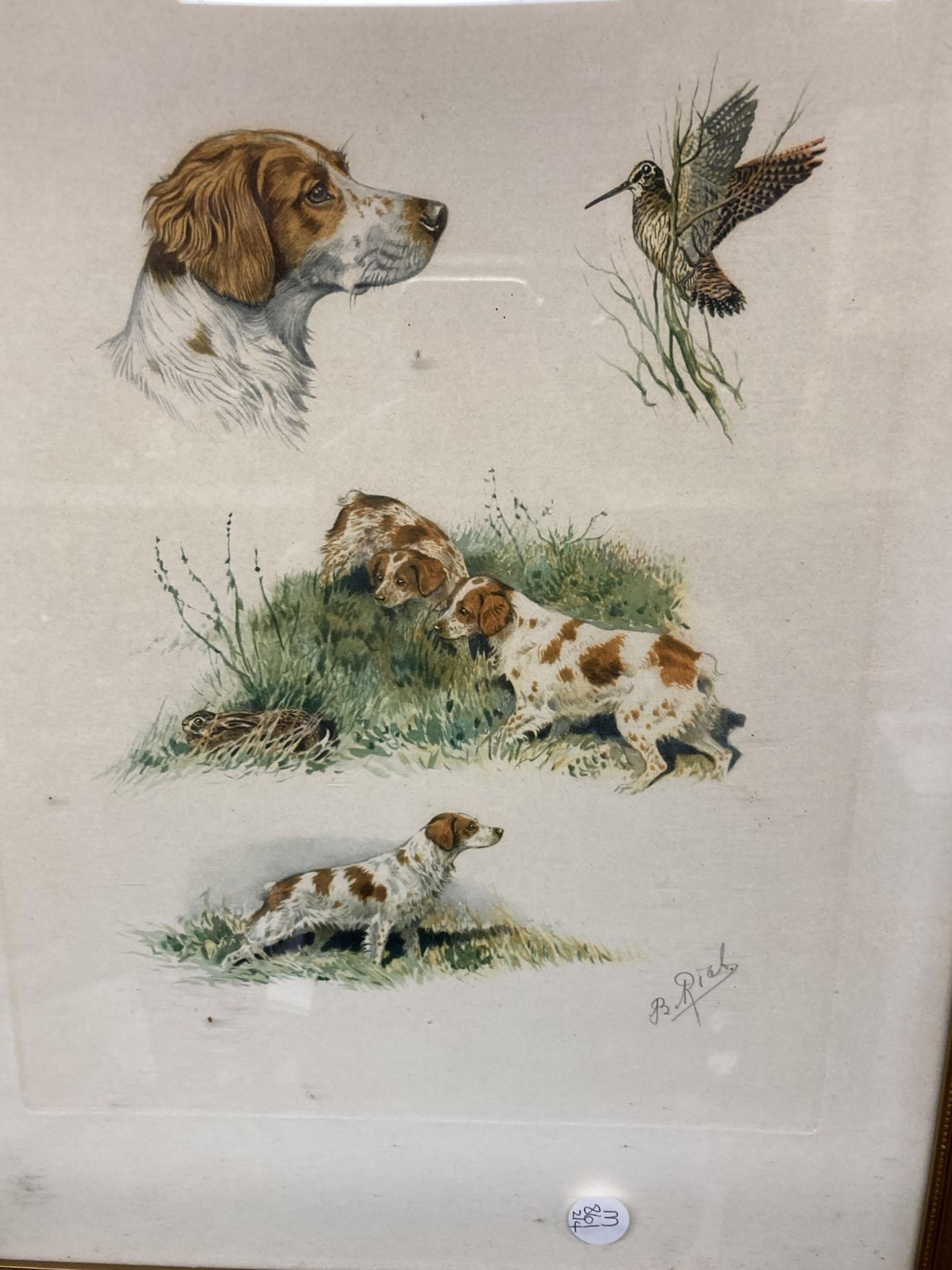 A SET OF FOUR FRAMED PENCIL SIGNED BIRD AND DOG WILDLIFE PRINTS - Image 4 of 6