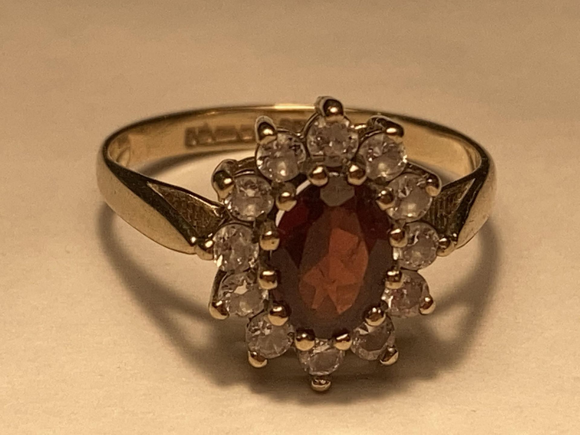 A 9 CARAT GOLD RING WITH CENTRE GARNET SURROUNDED BY CUBIC ZIRCONIAS SIZE L