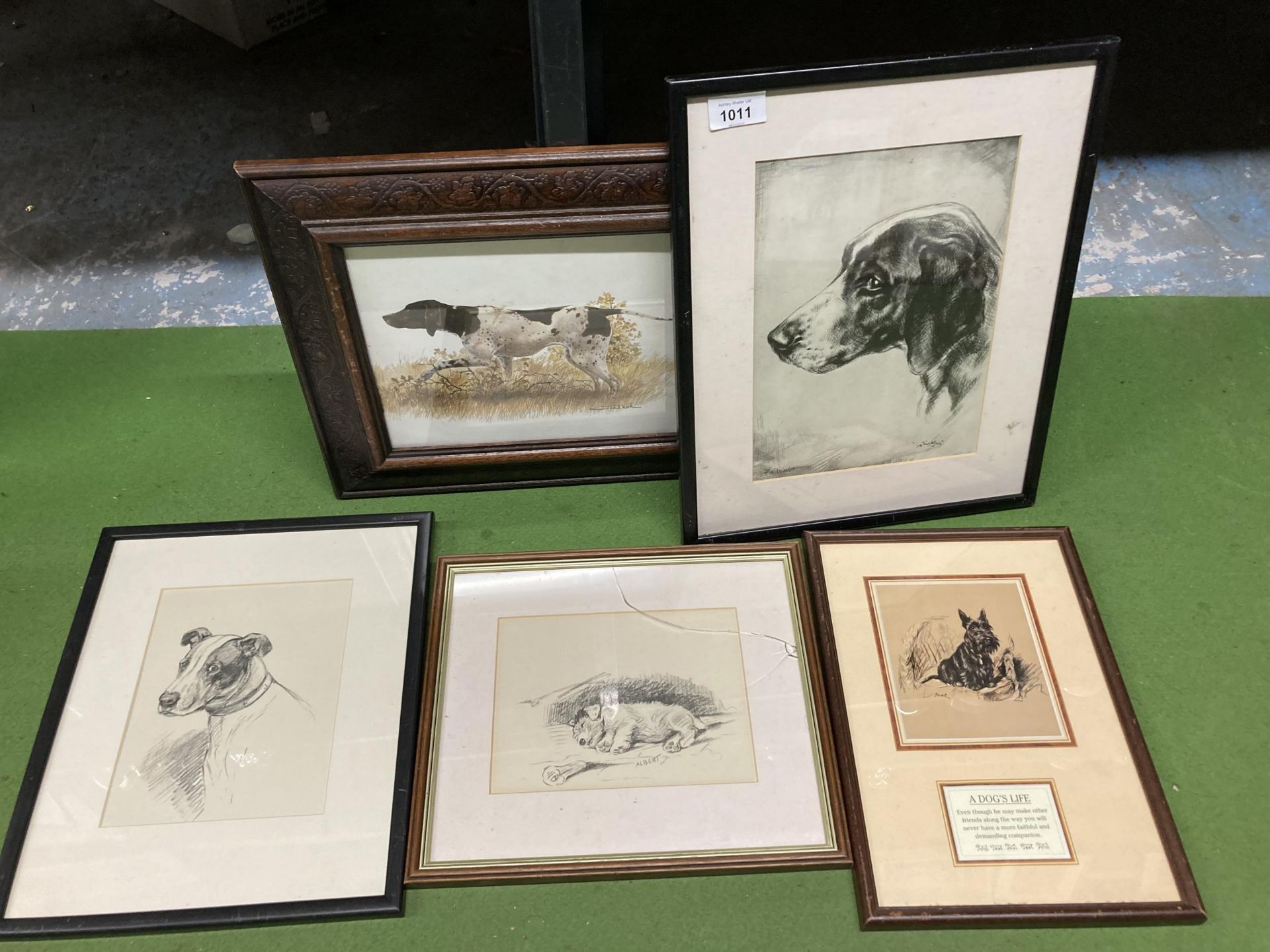 FIVE FRAMED PRINTS OF DOGS TO INCLUDE MAC AND ALBERT - Image 2 of 4