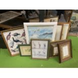 A GROUP OF FRAMED PRINTS TO INCLUDE PHEASANT EXAMPLE, ORNATE GILT FRAMED EXAMPLE ETC