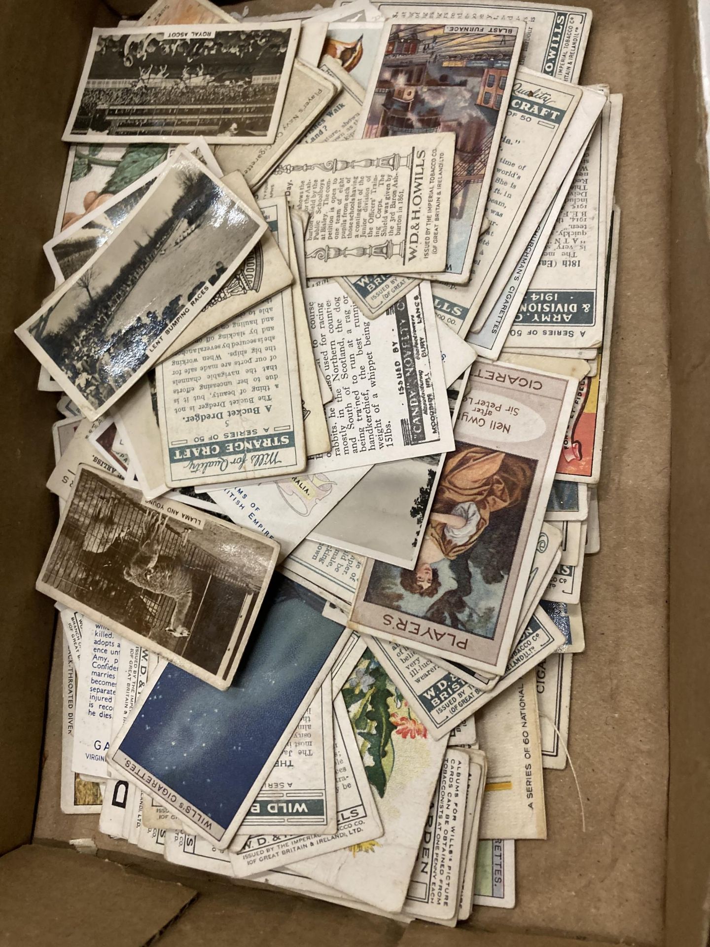 A LARGE COLLECTION OF CIGARETTE CARDS AND TRADING CARDS - 2 BOXES - Image 3 of 8