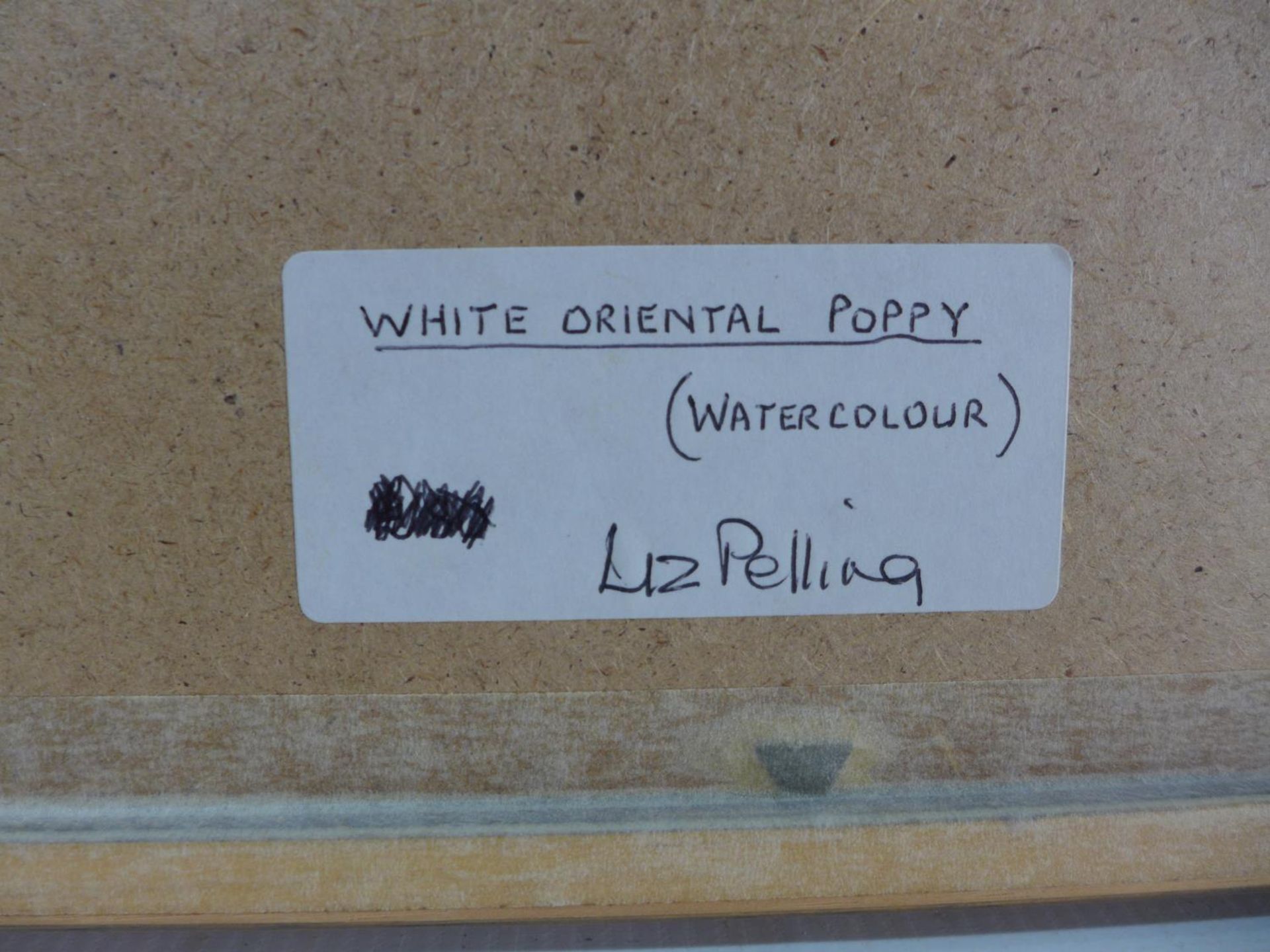 LIZ PELLING (BRITISH 20TH CENTURY) 'WHITE ORIENTAL POPPY', WATERCOLOUR, SIGNED LOWER RIGHT, LABEL - Image 5 of 5