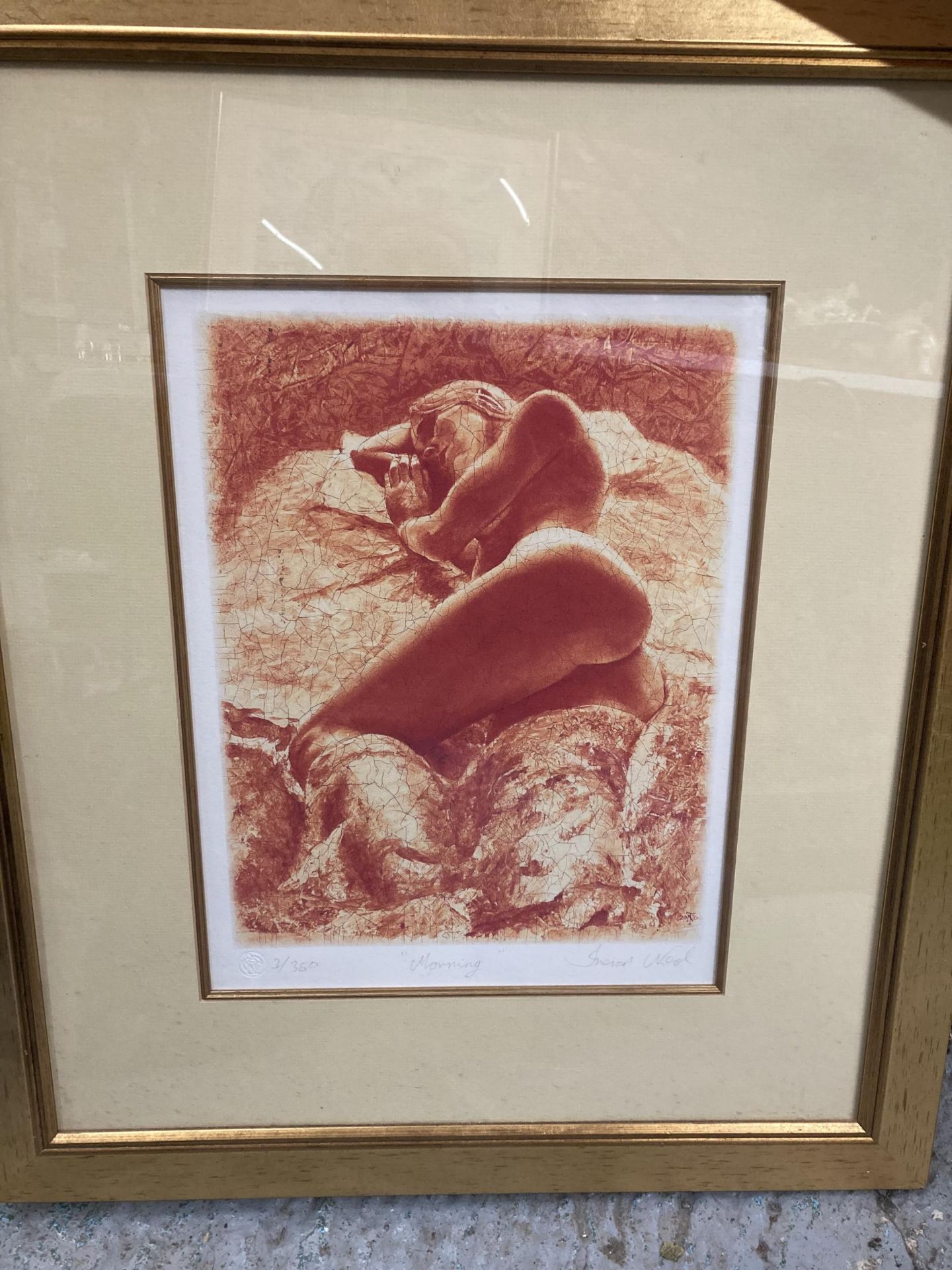 THREE PENCIL SIGNED, LIMITED EDITION, TREVOR NEAL NUDE STUDY PRINTS, IN GILT FRAMES WITH - Image 2 of 15