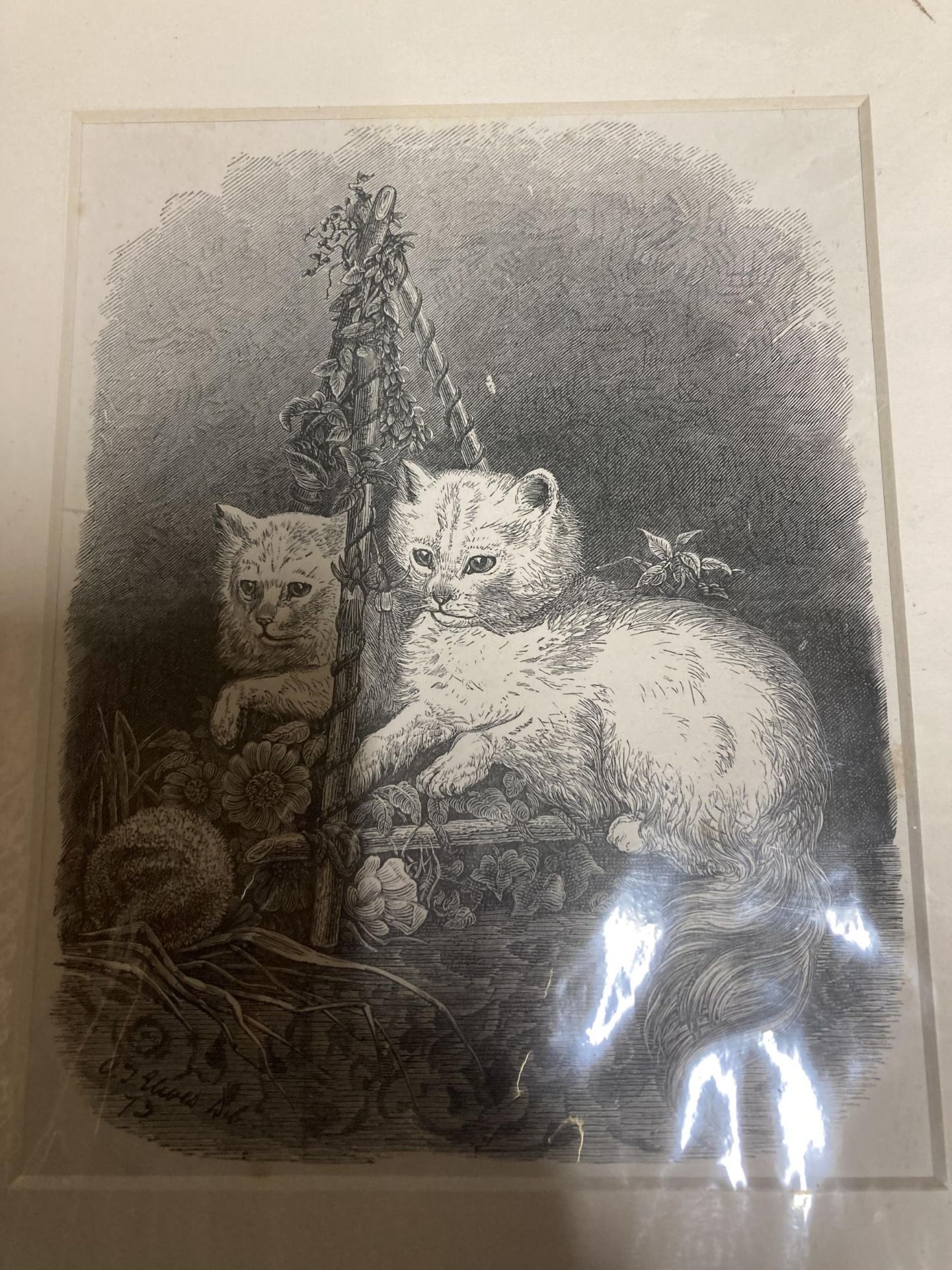 A GROUP OF UNFRAMED CAT AND FURTH PRINTS - Bild 2 aus 6