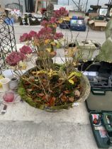 A LARGE CONCRETE BOWL PLANTER WITH A HYDRANGEA