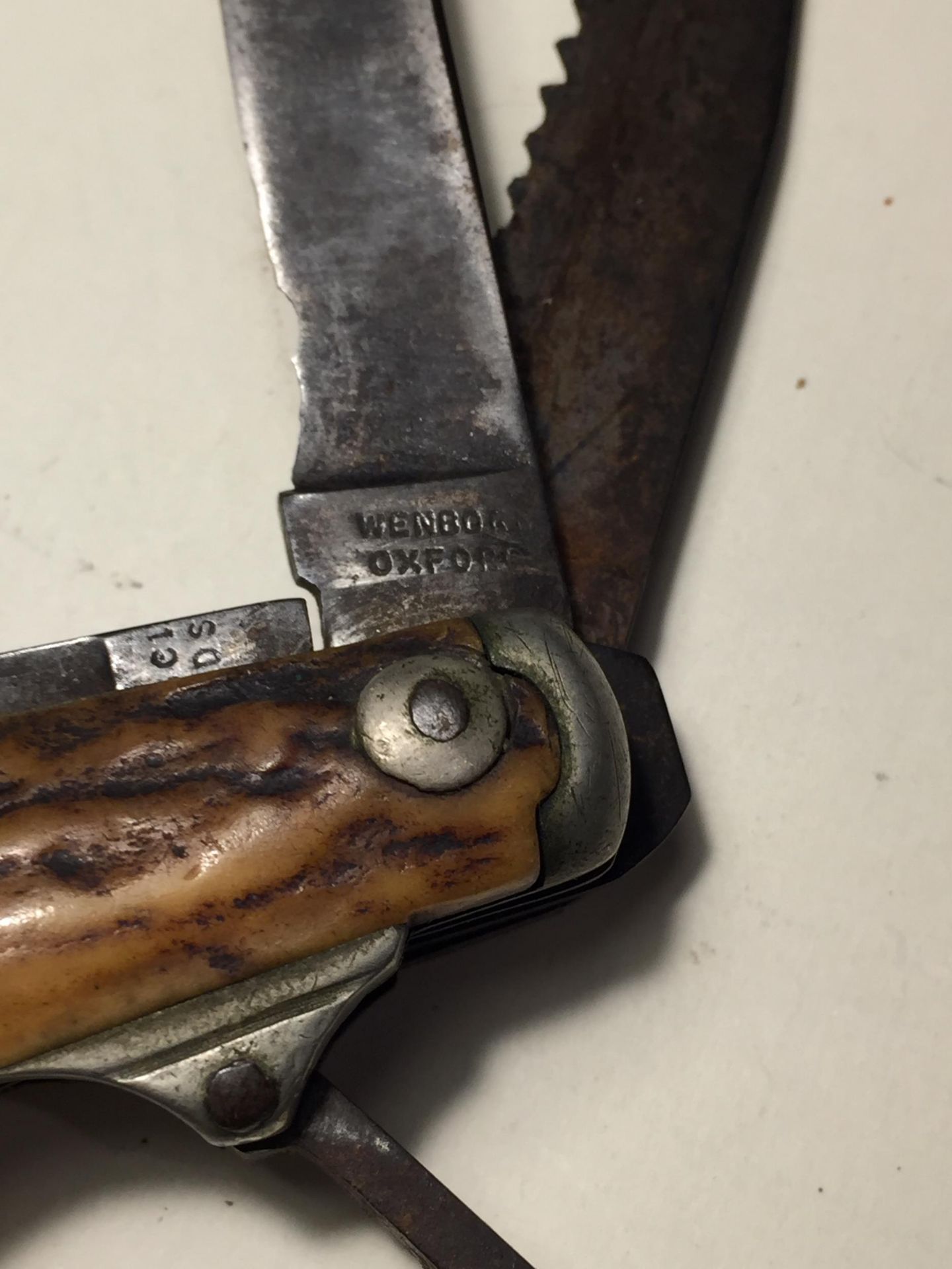 A MARKED SHEFFIELD BONE HANDLED COACHMANS KNIFE - Image 5 of 6