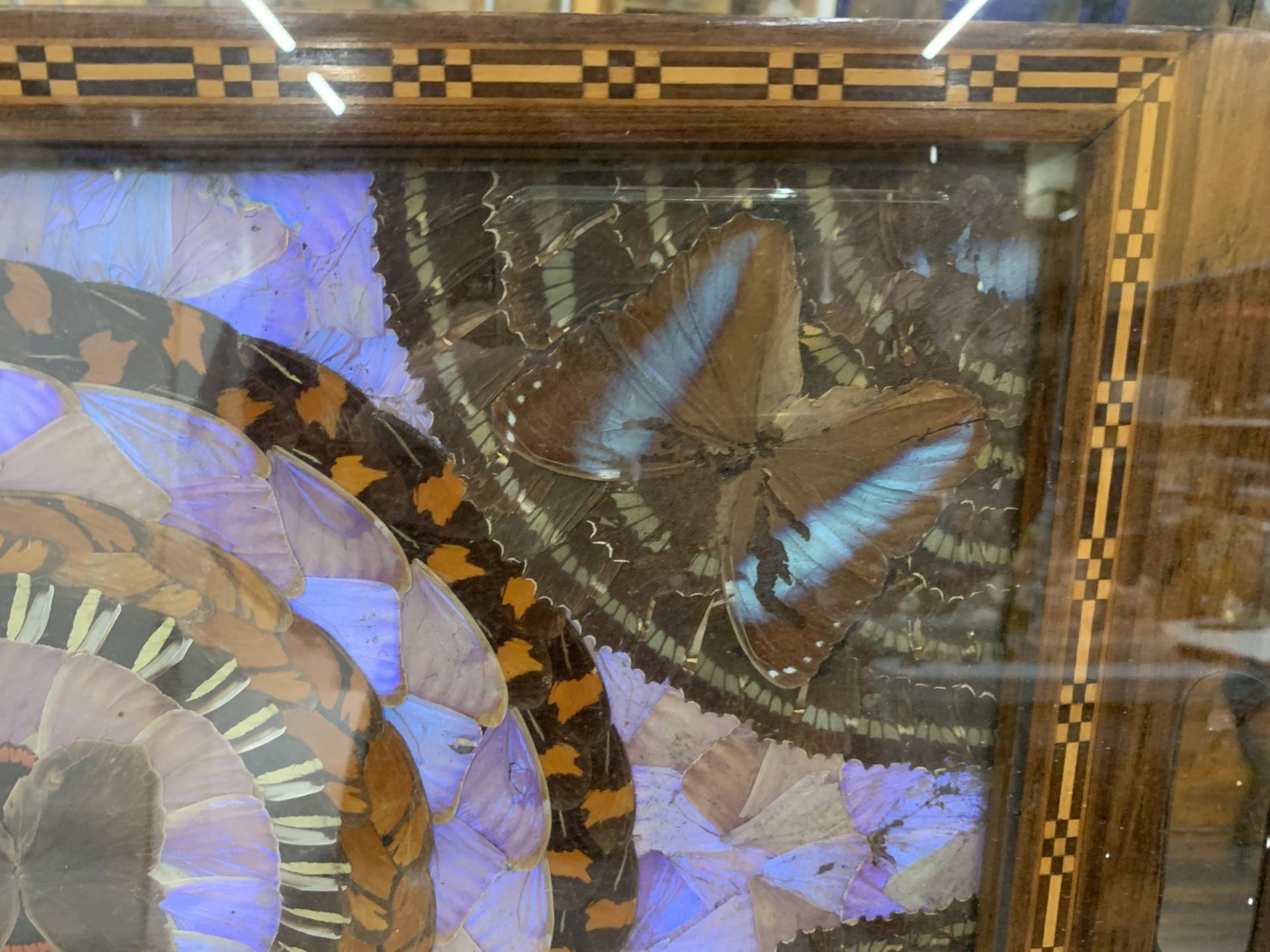 A 1920'S, BRAZILIAN, ART DECO MAHOGANY BUTTERFLY DRINKS TRAY WITH INLAID MARQUETRY BORDER, IN - Image 4 of 4