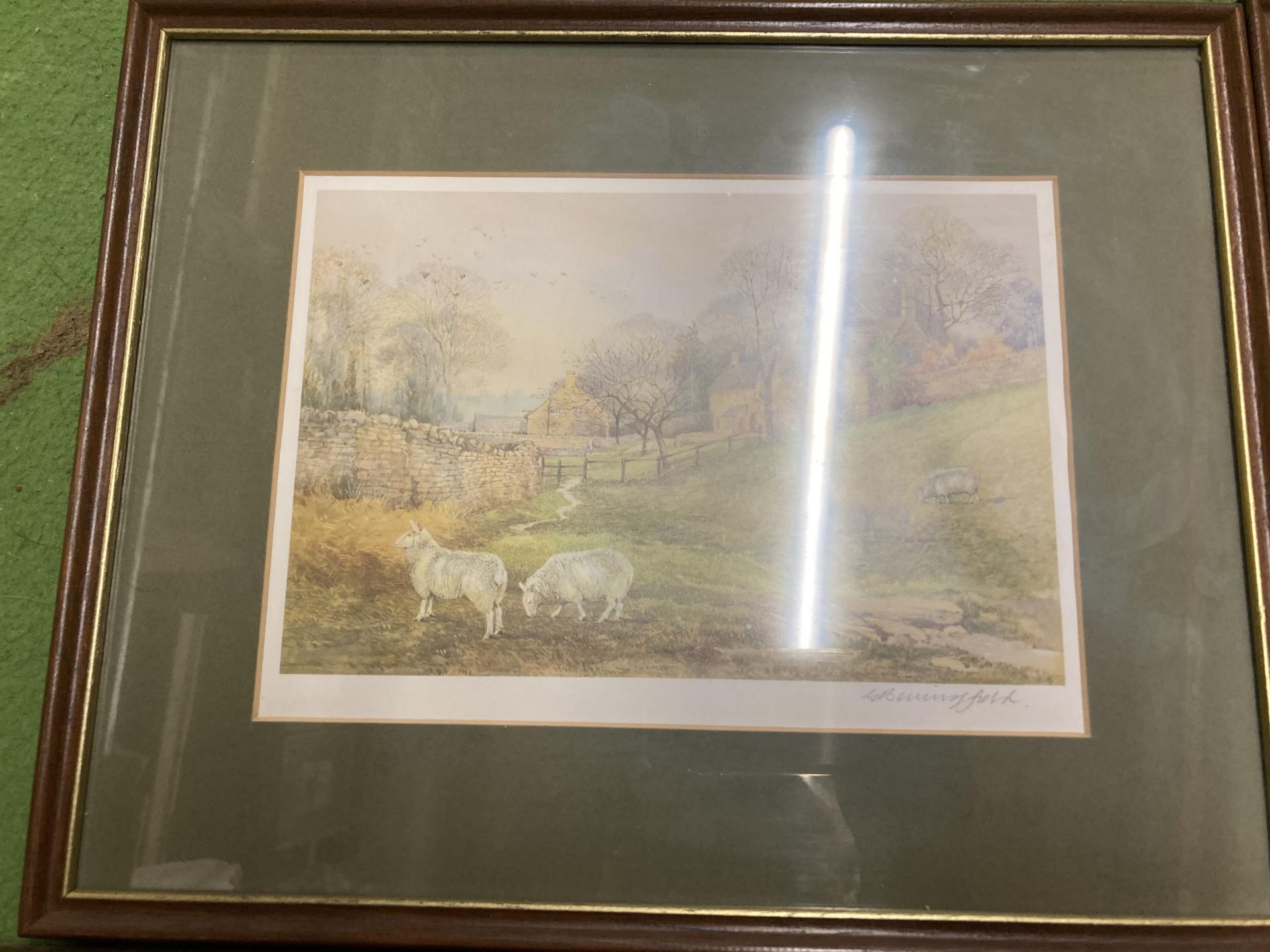 A SET OF FOUR FRAMED COUNTRYSIDE PENCIL SIGNED PRINTS - Image 3 of 6