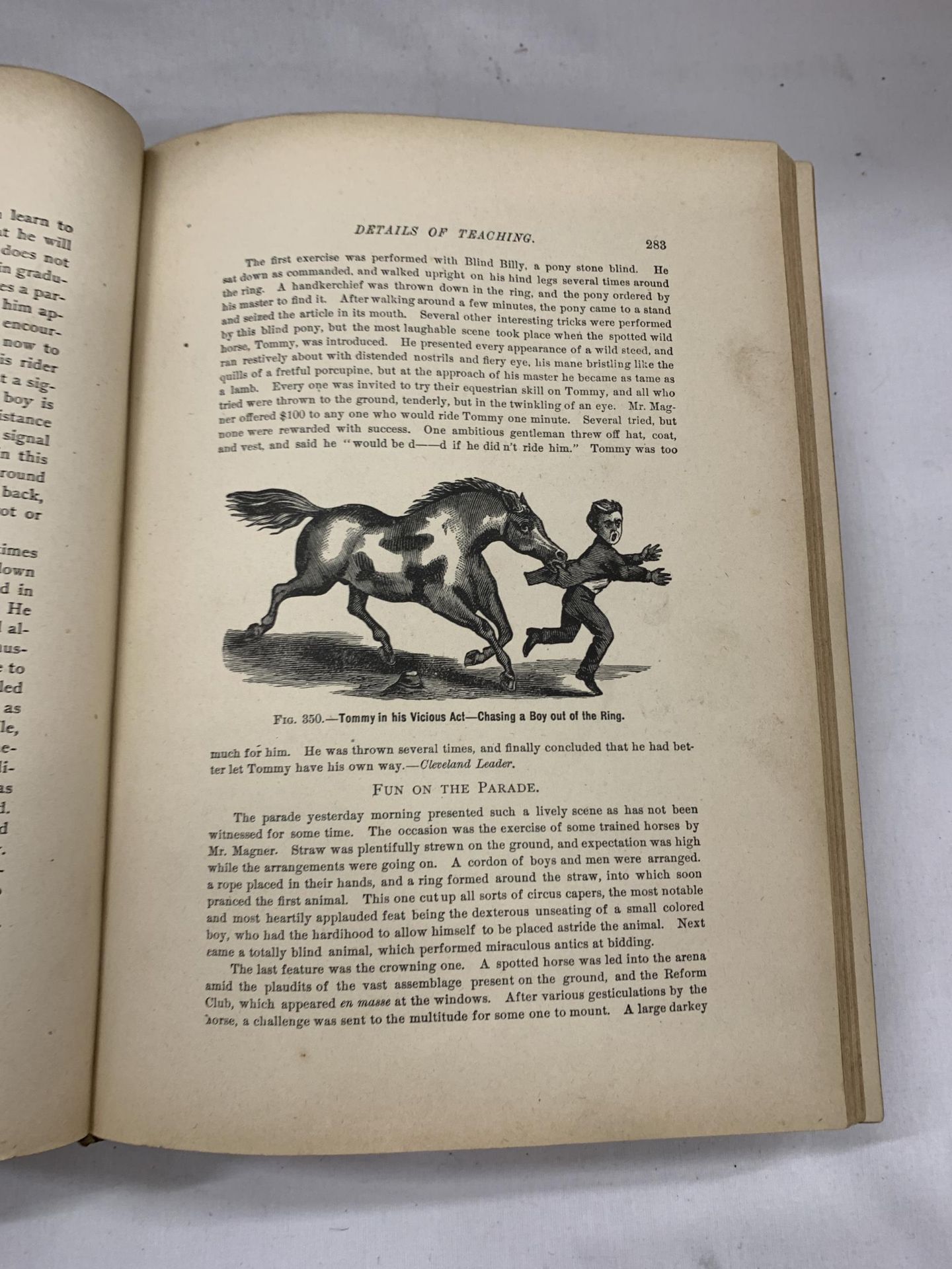 A 1906 MAGNER'S STANDARD HORSE AND STOCK BOOK - Image 5 of 8