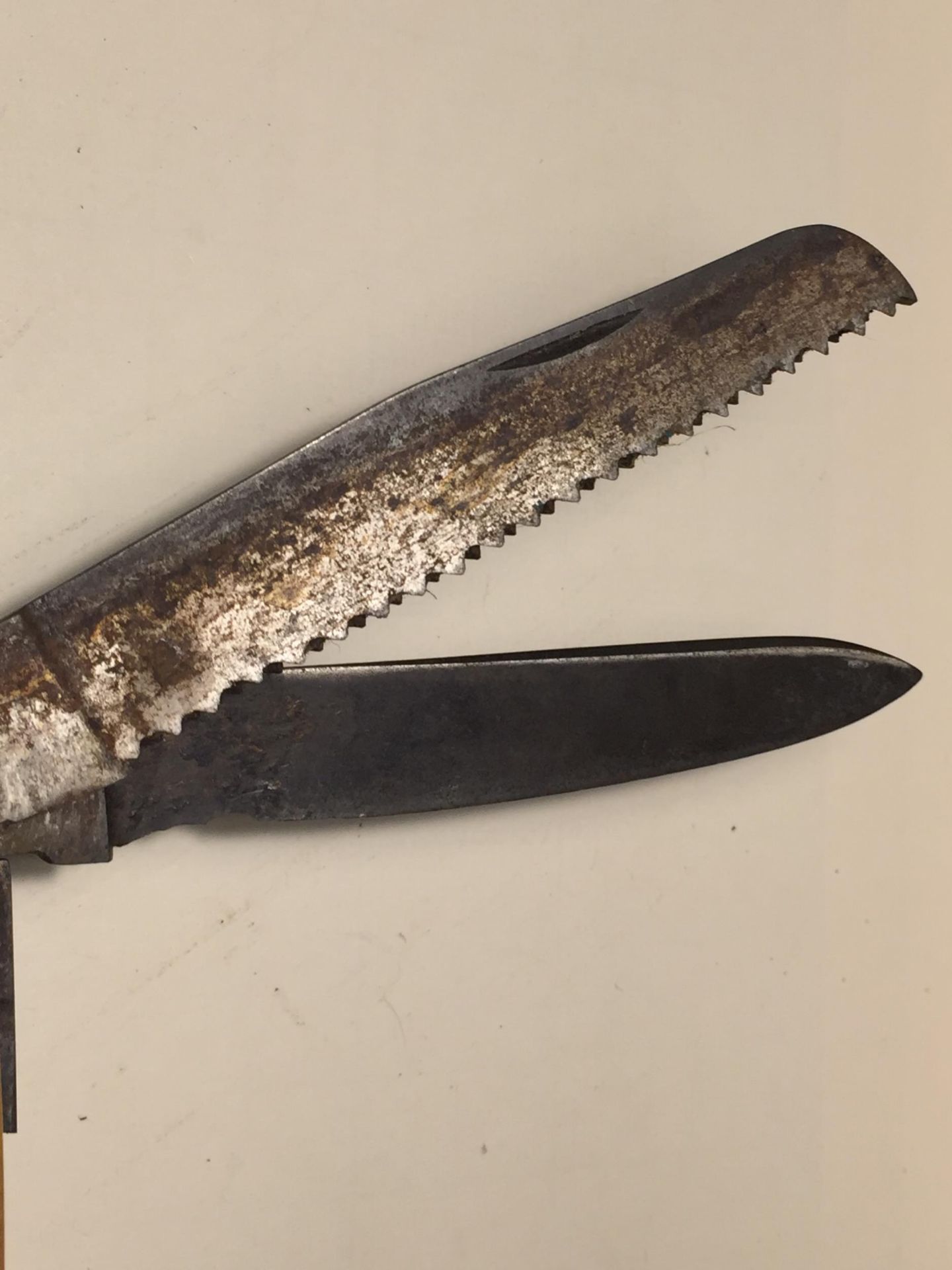 A MARKED SHEFFIELD BONE HANDLED COACHMANS KNIFE - Image 2 of 6