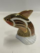 A ROYAL CROWN DERBY TROPICAL FISH GUPPY (SECOND)