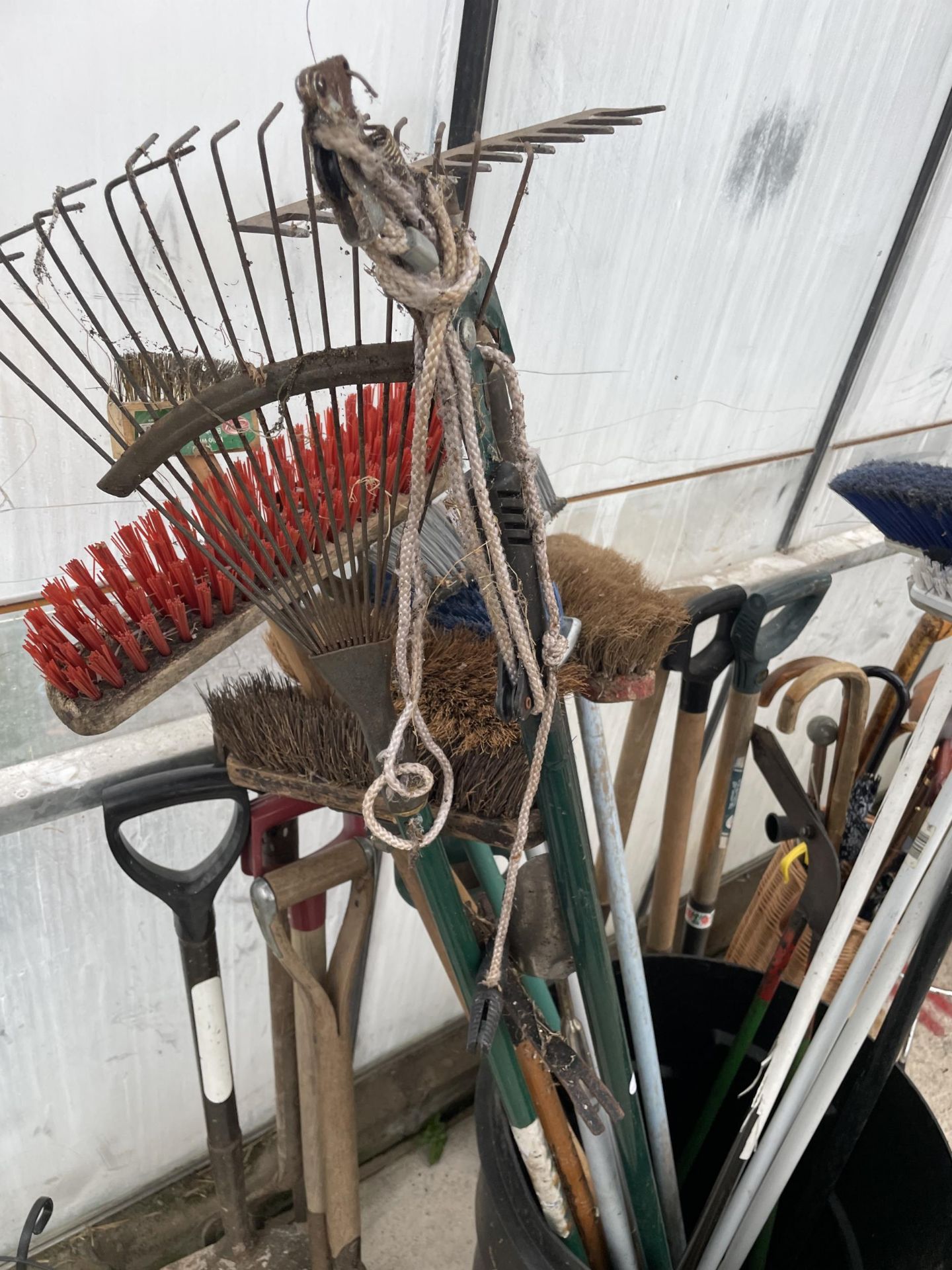 A PLASTIC BIN CONTAINING A LARGE QUANTITY OF GARDEN TOOLS TO INCLUDE FORKS AND SPADES ETC - Image 3 of 3