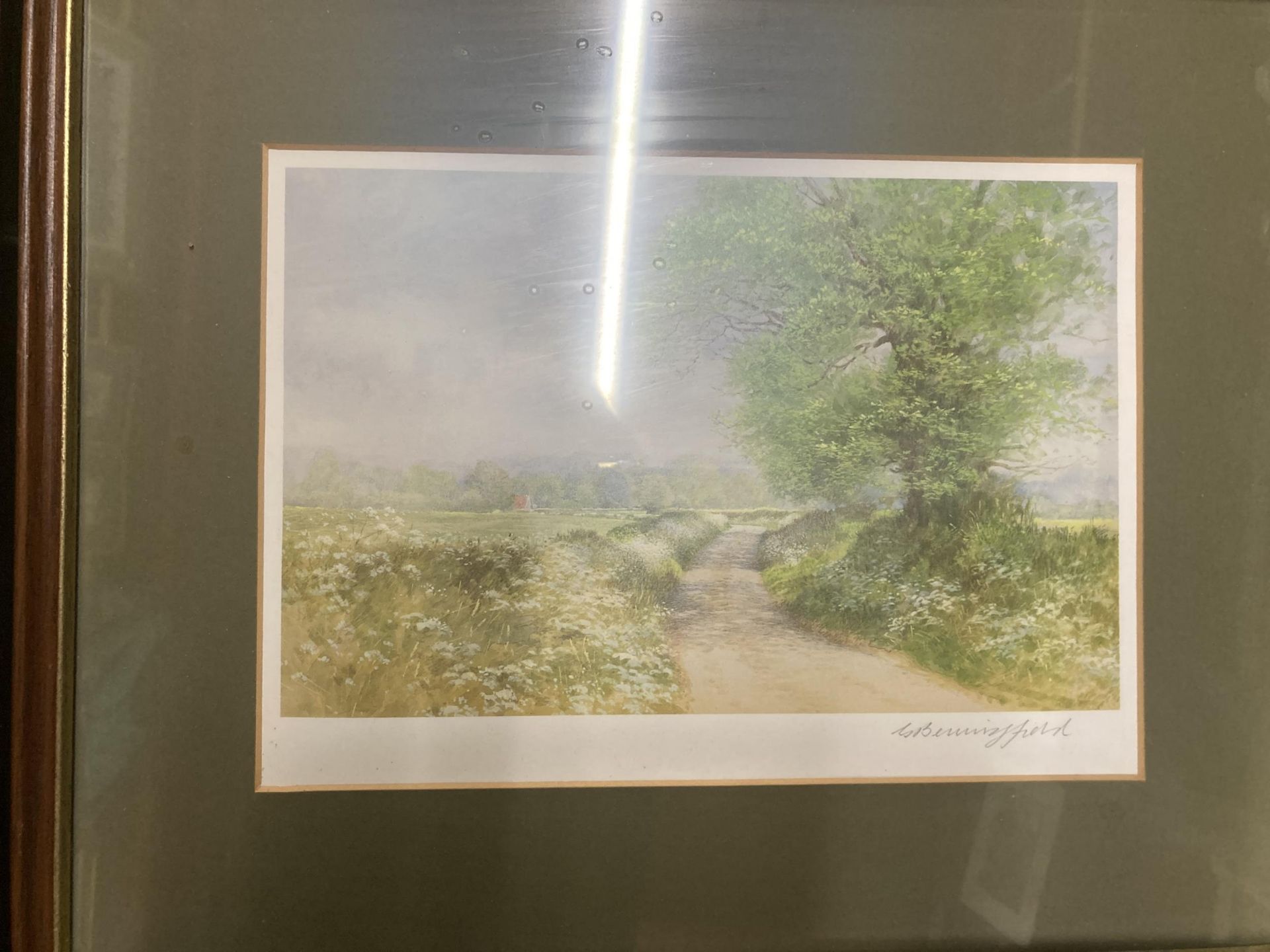A SET OF FOUR FRAMED COUNTRYSIDE PENCIL SIGNED PRINTS - Image 4 of 6
