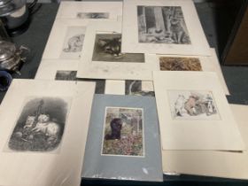 A GROUP OF UNFRAMED CAT AND FURTH PRINTS