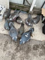 A LARGE QUANTITY OF DECOY PIGEONS