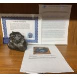 A 5KG CAMPO DEL CIELO IRON METEORITE WITH CERTIFICATE OF AUTHENTICITY, 4000 - 6000 YEARS OLD