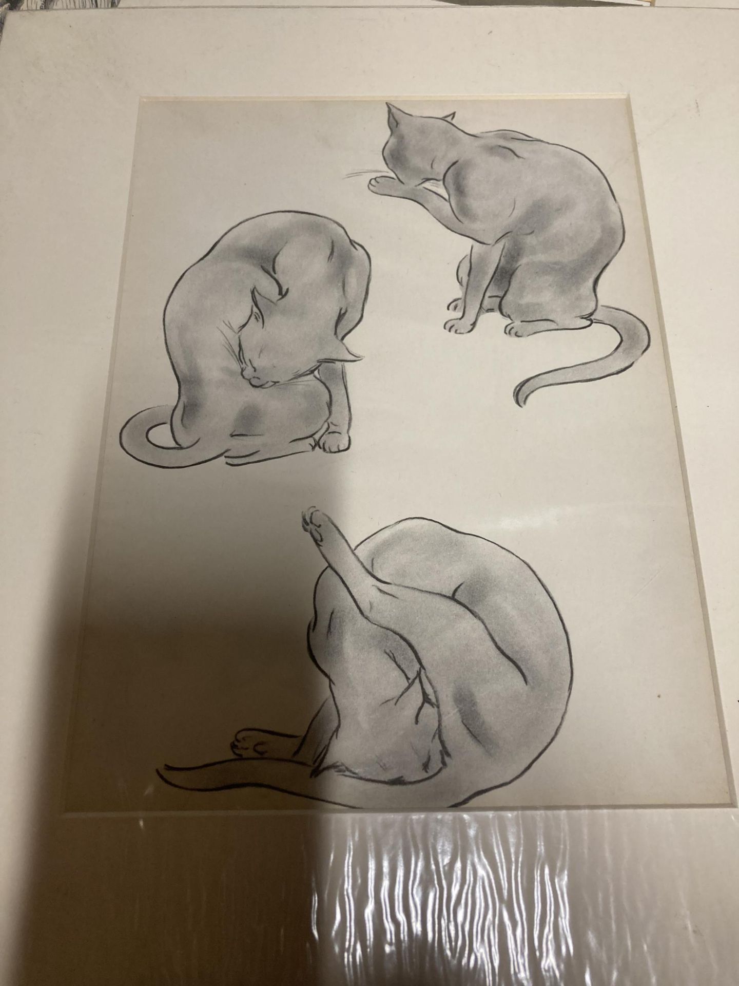 A GROUP OF UNFRAMED CAT AND FURTH PRINTS - Image 4 of 6