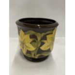 A LARGE MOORCROFT BERMUDA LILY PLANTER