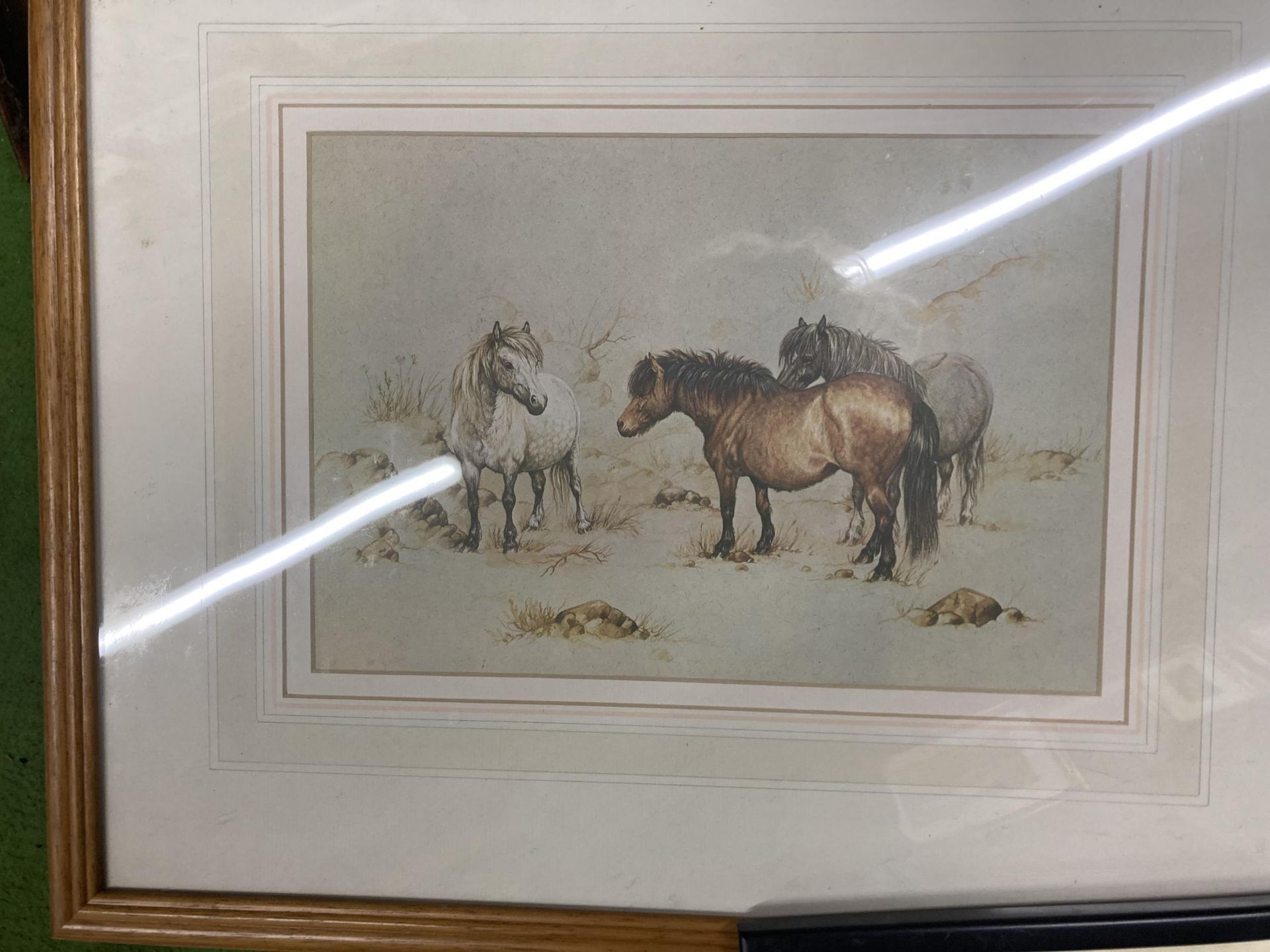 THREE FRAMED HORSE RELATED PRINTS, COMICAL HORSE JUMPING SCENE ETC - Image 3 of 5