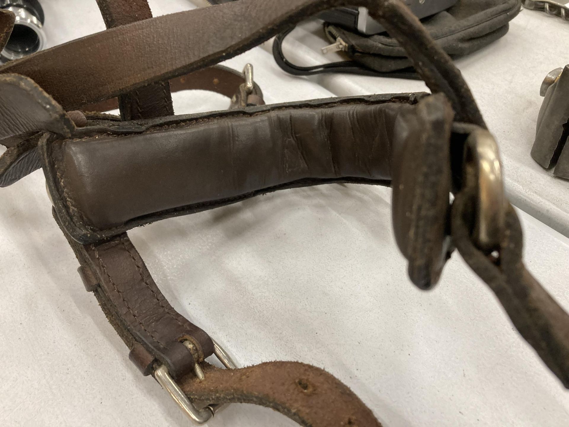 A GOOD LEATHER CAVESSON HALTER STAMPED 'L' - Image 3 of 3