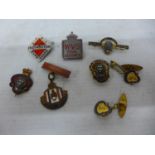 A COLLECTION OF ENAMEL BADGES TO INCLUDE BRITISH LEGION EXAMPLES