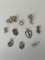 A BAG OF SILVER CHARMS