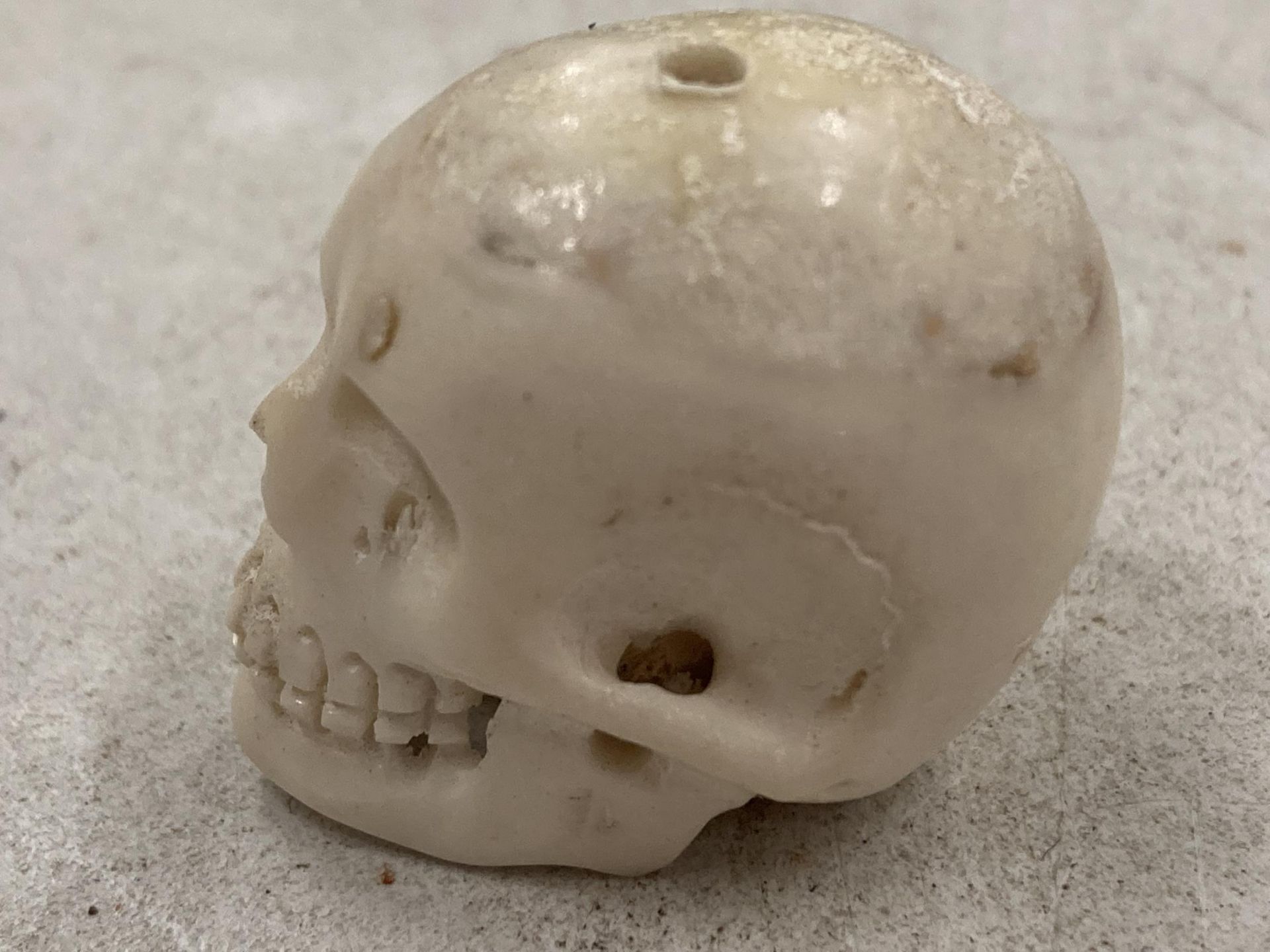 A BONE SMALL SKULL MODEL - Image 2 of 3