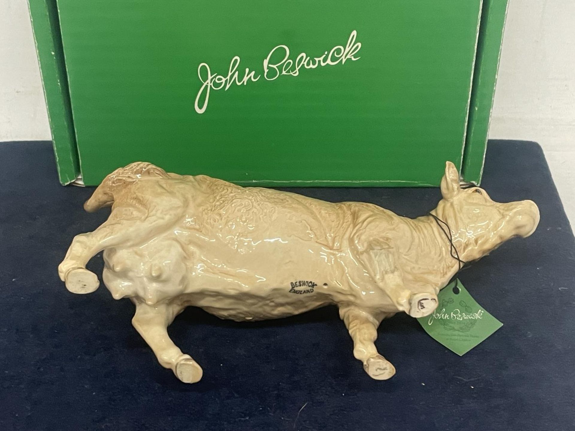 A BESWICK CHAROLAIS COW WITH BOX - Image 3 of 3