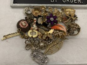 A MIXED LOT OF COSTUME JEWELLERY ITEMS