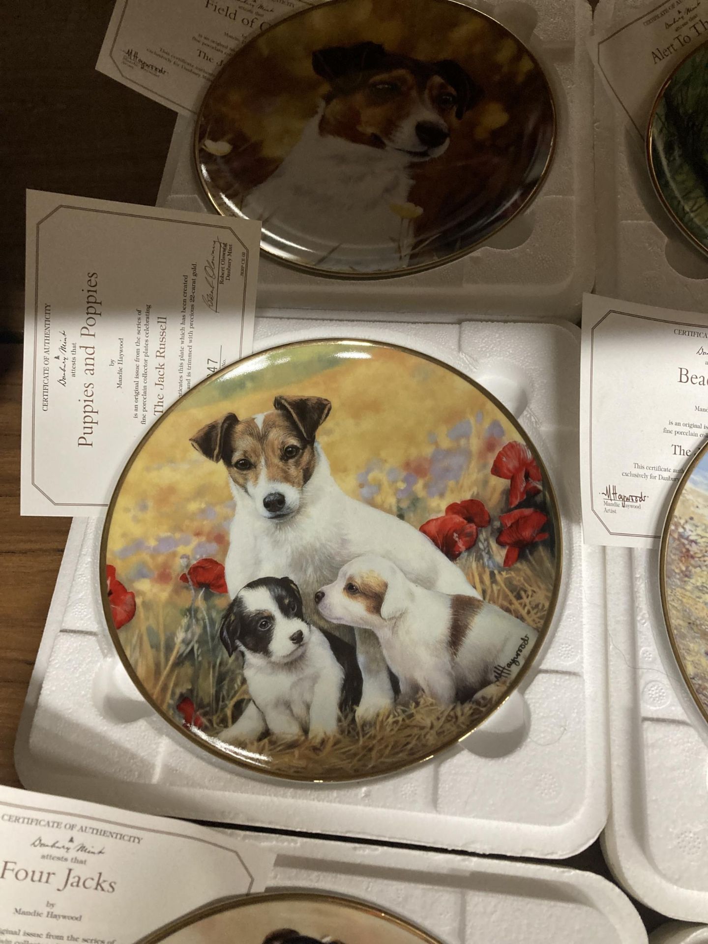 SIX DANBURY MINT, JACK RUSSELL THEMED CABINET PLATES WITH CERTIFICATES - Image 5 of 8