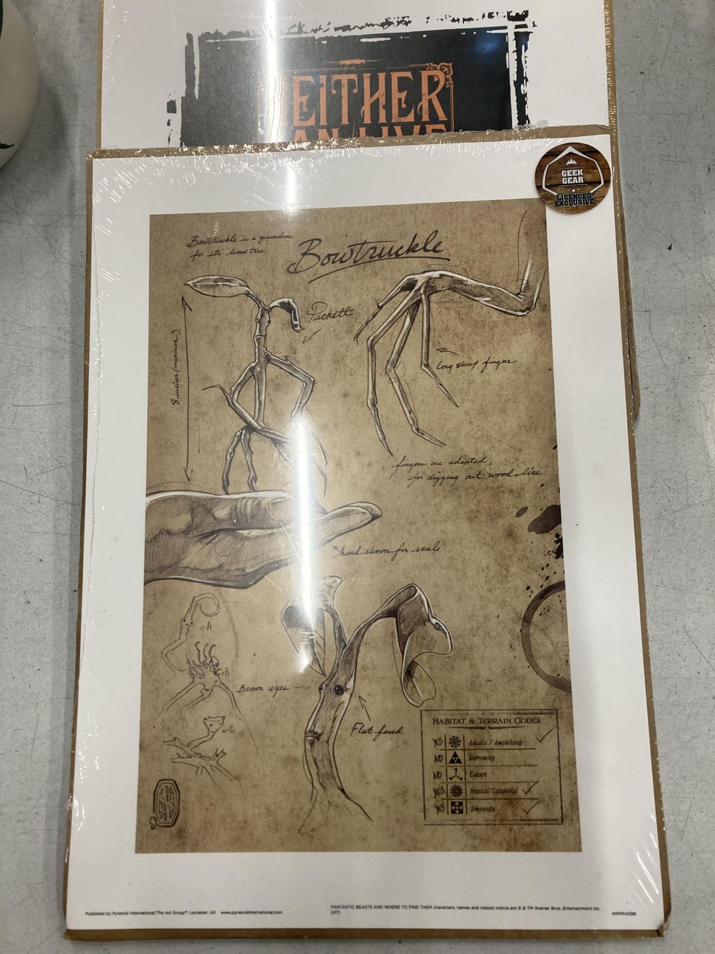 SIX NEW AND SEALED POSTERS BY GEEK GEAR, HARRY POTTER/FANTASTIC BEASTS - Image 2 of 4