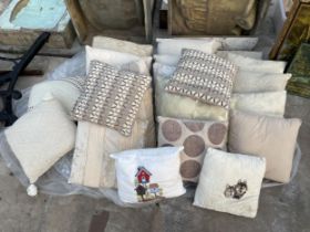 AN ASSORTMENT OF SCATTER CUSHIONS