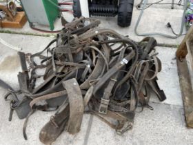 AN ASSORTMENT OF VINTAGE HEAVY HORSE TACK TO INCLUDE HARNESSES ETC