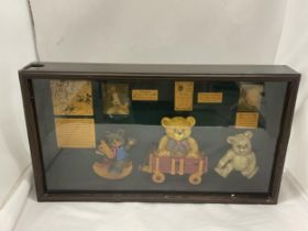 A GLASS FRONTED WOODEN CASED DISPLAY BOX WITH TEDDIES AND THEIR STORIES - A HISTORY OF THE STEIFF
