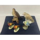 FIVE BIRDS TO INCLUDE TWO BESWICK PHEASANTS, A BLUE TIT, A SONGTHRUSH AND A FINE BONE CHINA MISTLE