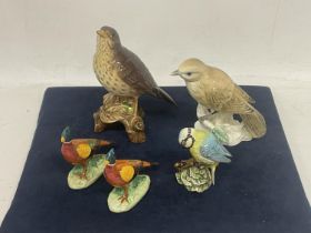 FIVE BIRDS TO INCLUDE TWO BESWICK PHEASANTS, A BLUE TIT, A SONGTHRUSH AND A FINE BONE CHINA MISTLE