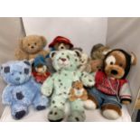 A QUANTITY OF COLLECTABLE TEDDY BEARS TO INCLUDE A MARKS AND SPENCERS PADDINGTON, NODDY, POSH